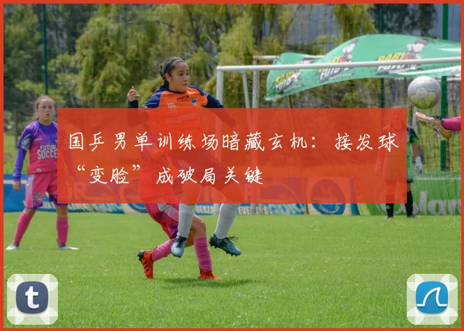 国乒男单训练场暗藏玄机：接发球“变脸”成破局关键 - Kaiyun
