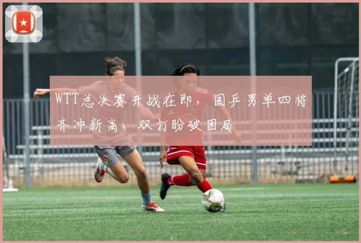 WTT总决赛开战在即，国乒男单四将齐冲新高，双打盼破困局